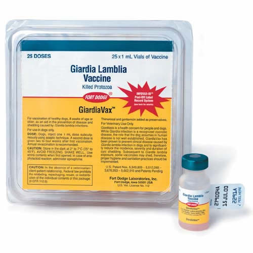 Pet Dreams - Vacina GiardiaVax