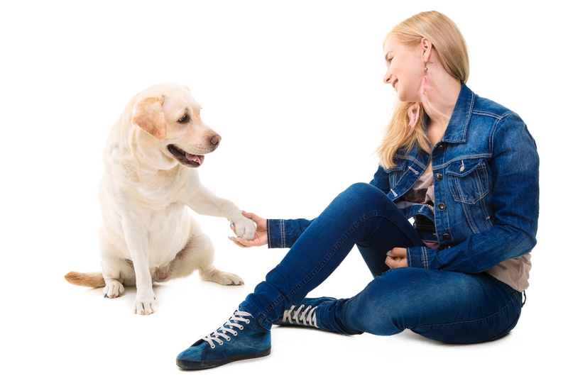Cães entendem nossas palavras
